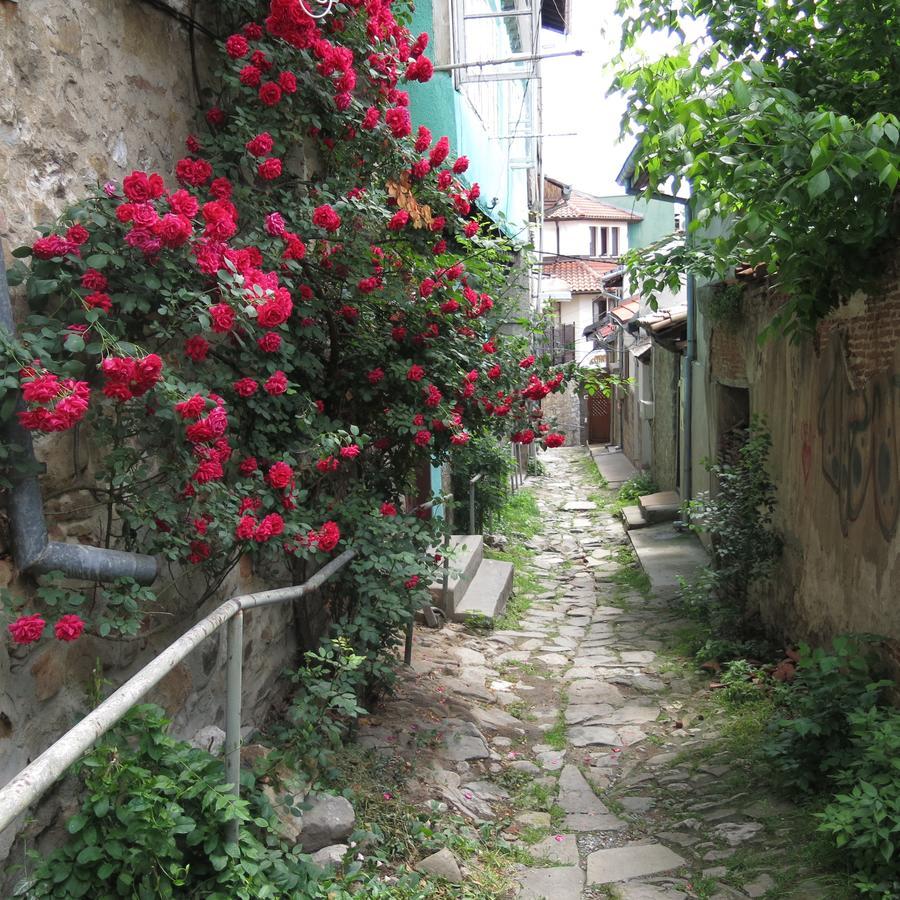 Rooster Hostel Veliko Tarnovo Exteriér fotografie